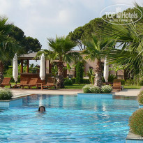 фото из отзыва ID 146185