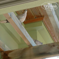 фото из отзыва ID 146185