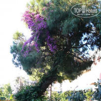 фото из отзыва ID 146185