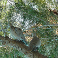 фото из отзыва ID 146185