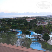 фото из отзыва ID 146185