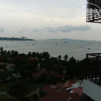 фото из отзыва ID 146227