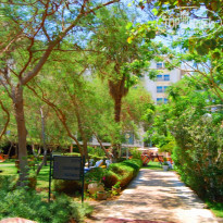 фото из отзыва ID 146516