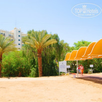 фото из отзыва ID 146516