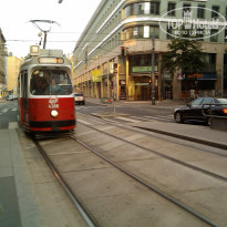 фото из отзыва ID 146527