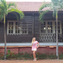 фото из отзыва ID 1460071