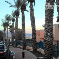 фото из отзыва ID 1460051