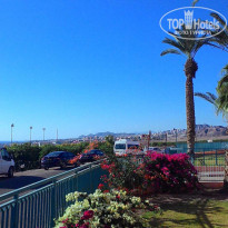 фото из отзыва ID 1460051