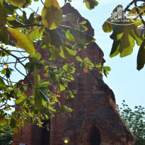 фото из отзыва ID 1460155