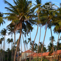 фото из отзыва ID 1460155