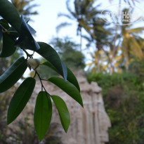 фото из отзыва ID 1460155