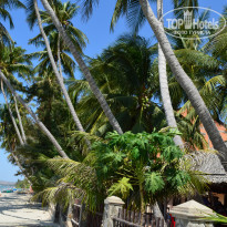 фото из отзыва ID 1460155