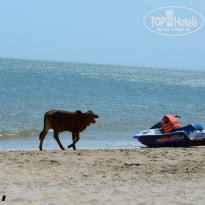 фото из отзыва ID 1460155