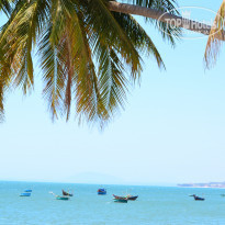 фото из отзыва ID 1460155