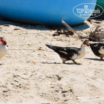 фото из отзыва ID 1460155