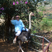 фото из отзыва ID 1460155