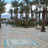 фото из отзыва ID 1460137