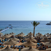 фото из отзыва ID 1460281