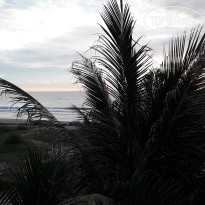 фото из отзыва ID 1460345