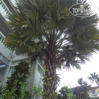 фото из отзыва ID 1460417