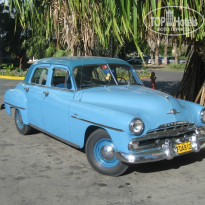 фото из отзыва ID 1460432