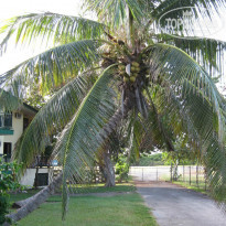 фото из отзыва ID 1460432