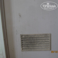 фото из отзыва ID 1460459