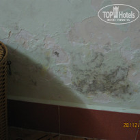 фото из отзыва ID 1460459