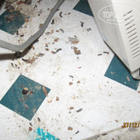 фото из отзыва ID 1460459