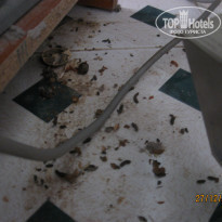 фото из отзыва ID 1460459