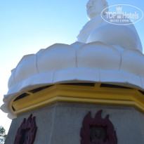 фото из отзыва ID 1460499