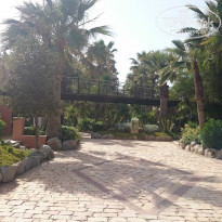 фото из отзыва ID 1460506