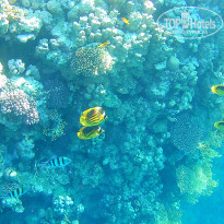 фото из отзыва ID 1460715