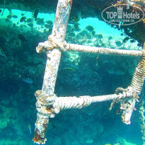 фото из отзыва ID 1460715