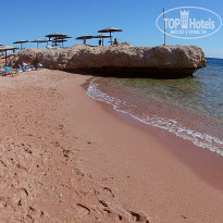 фото из отзыва ID 1460715