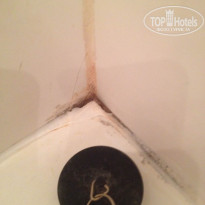 фото из отзыва ID 1460863