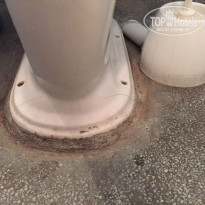 фото из отзыва ID 1461096