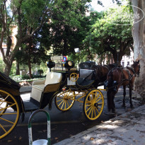 фото из отзыва ID 1461105