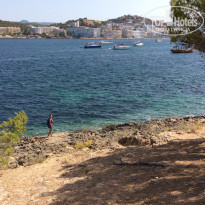 фото из отзыва ID 1461105