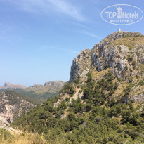 фото из отзыва ID 1461105