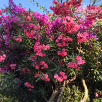 фото из отзыва ID 1461105