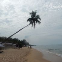 фото из отзыва ID 1461137