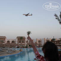 фото из отзыва ID 1461158