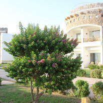 фото из отзыва ID 1461158