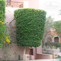 фото из отзыва ID 1461277