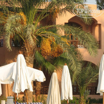 фото из отзыва ID 1461277