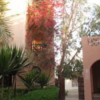 фото из отзыва ID 1461277