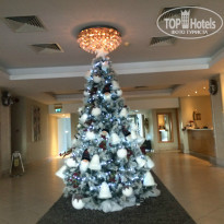 фото из отзыва ID 1461384