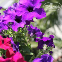 фото из отзыва ID 1461411