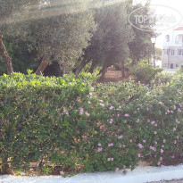 фото из отзыва ID 1461425